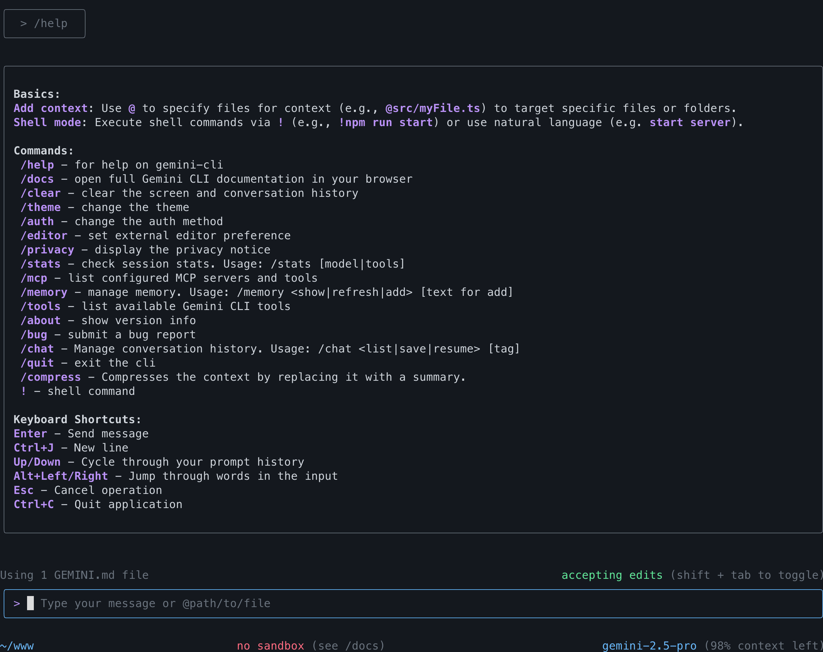 Gemini CLi help